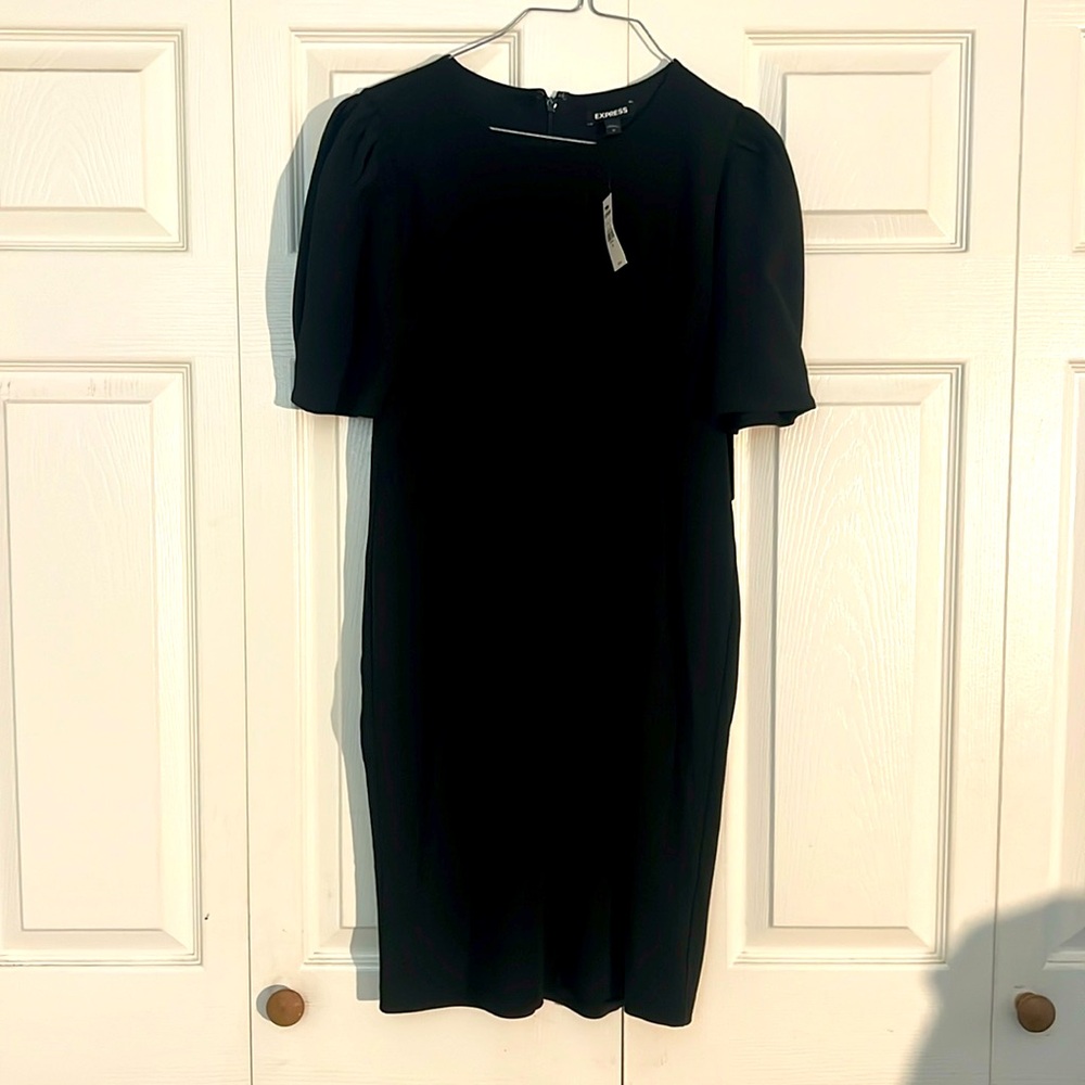 NWT Express Sheath Dress with Pleat Detailing
